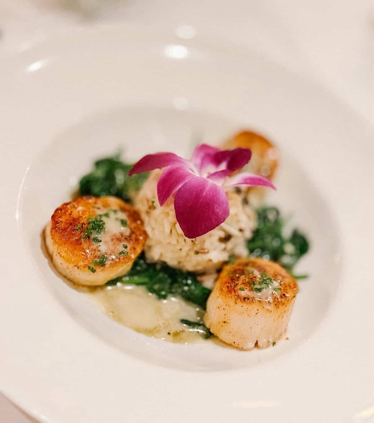 Scallops